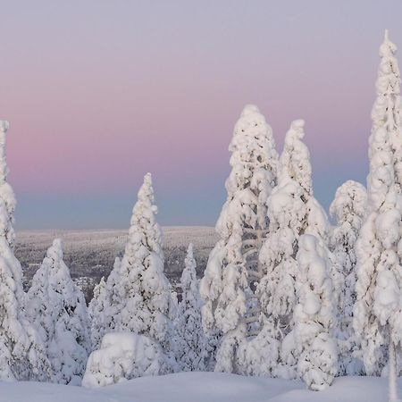 Northern Bliss Hideaway Rovaniemi Luaran gambar